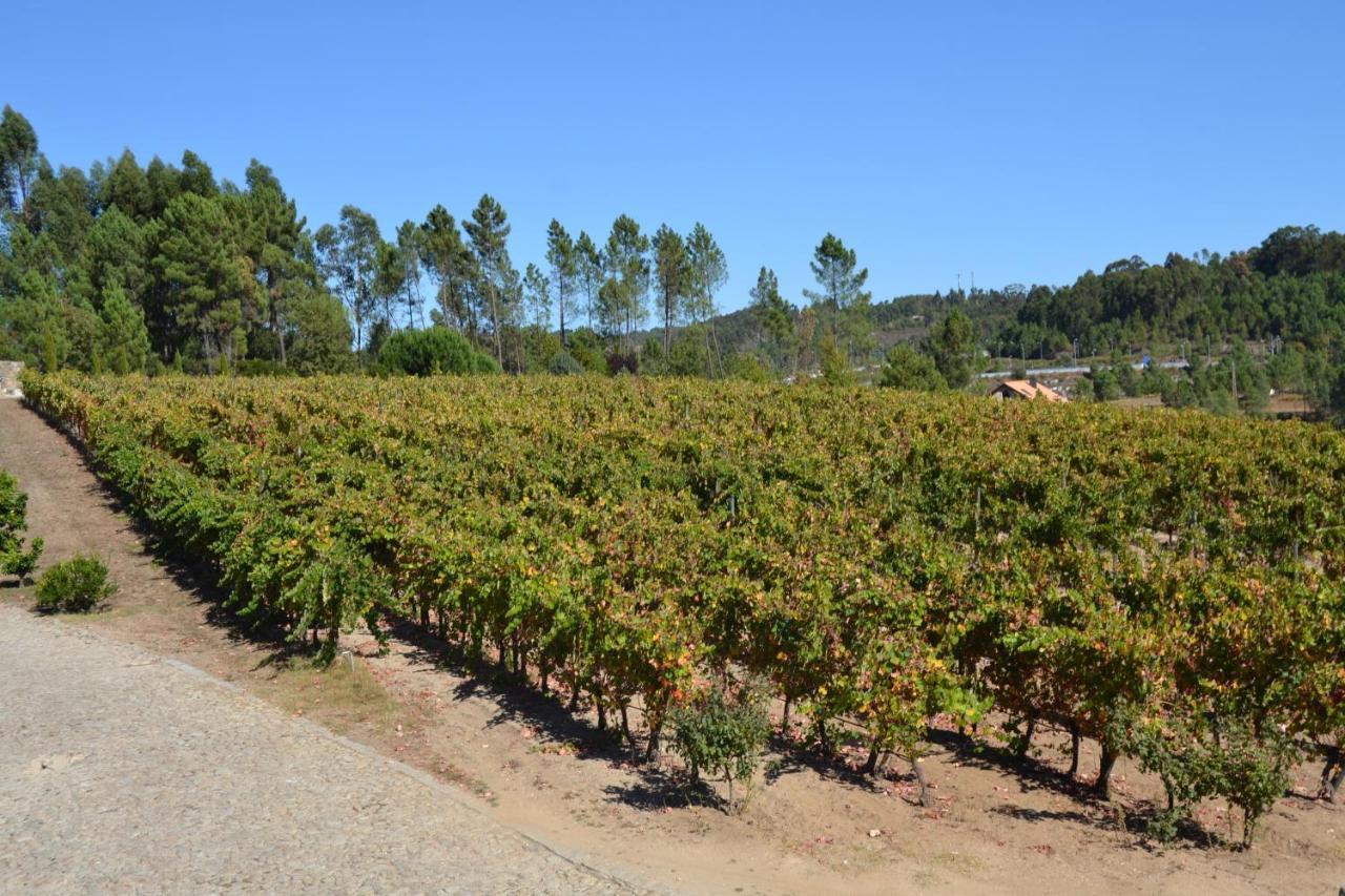 Quinta Do Medronheiro Hotel Rural Viseu Eksteriør billede