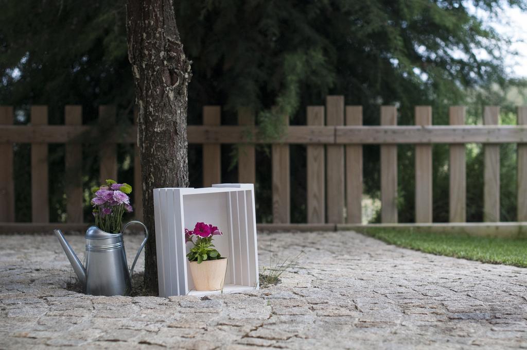 Quinta Do Medronheiro Hotel Rural Viseu Eksteriør billede